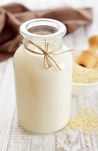 best milk ideas for overnight oats 1o
