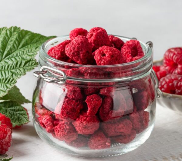 freeze dried fruit raspberries