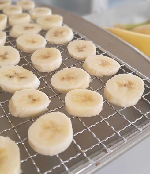 best food dehydrators for beginners
