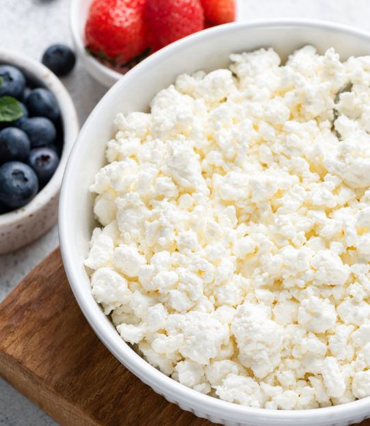 foods that can be freeze dried cottage cheese