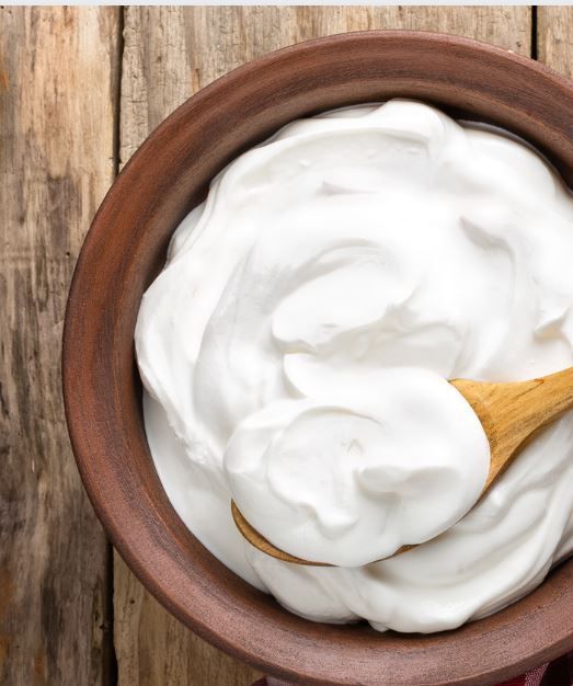 foods that can be freeze dried yogurt