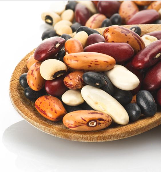 foods that can be freeze dried beans