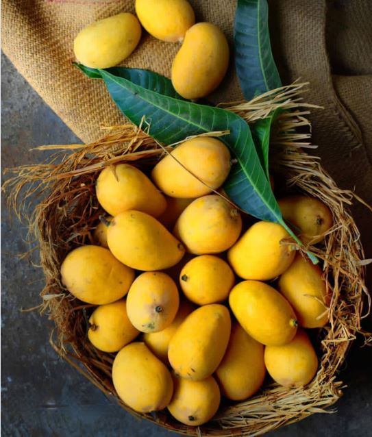 all about mangoes