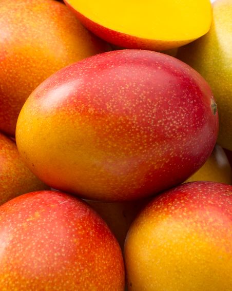 Haden Mango: