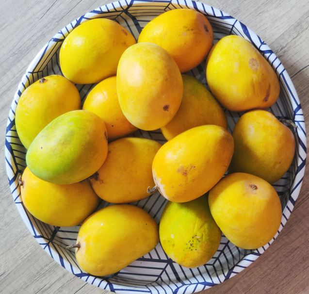 Mangoes 101: Types, Benefits, Storage and More!