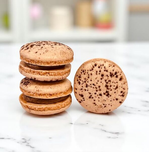 SNDK Group Chocolate Macarons