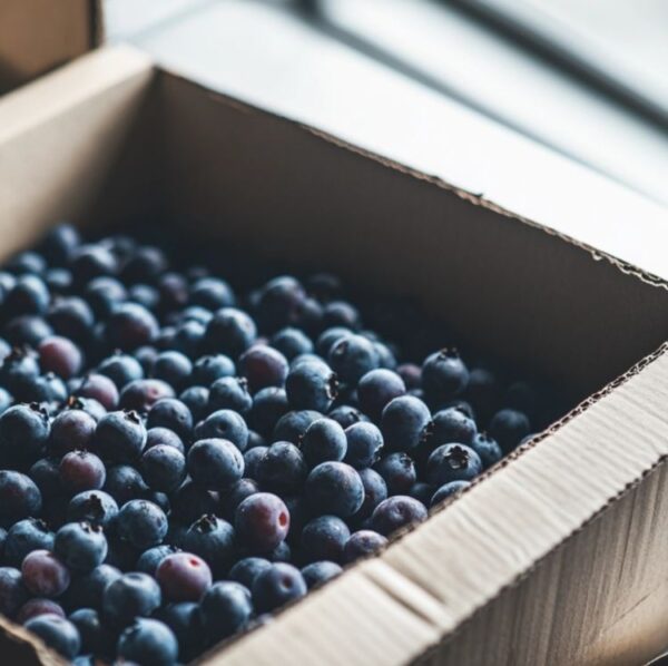 How To Freeze Fresh Blueberries