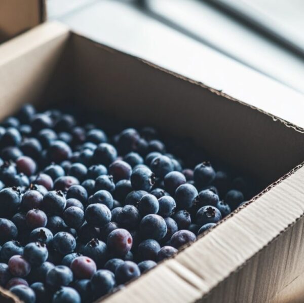 box of fresh farm blueberries