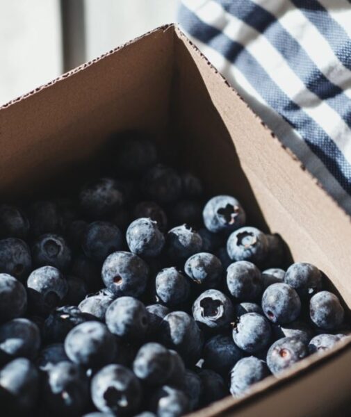 Blueberry Oatmeal Muffins Recipe using fresh blueberries