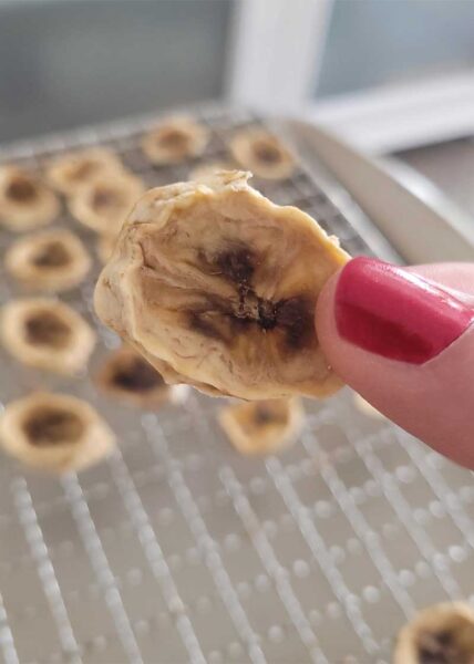 How To Make Banana Chips In The Oven