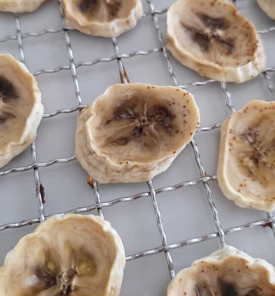 How To Make Banana Chips In The Dehydrator