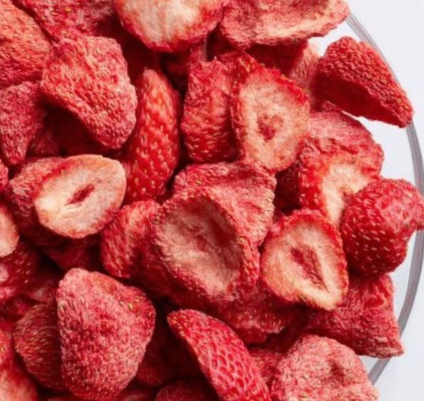 best freeze dryers for at home use