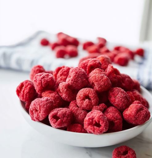 choosing first freeze dryer