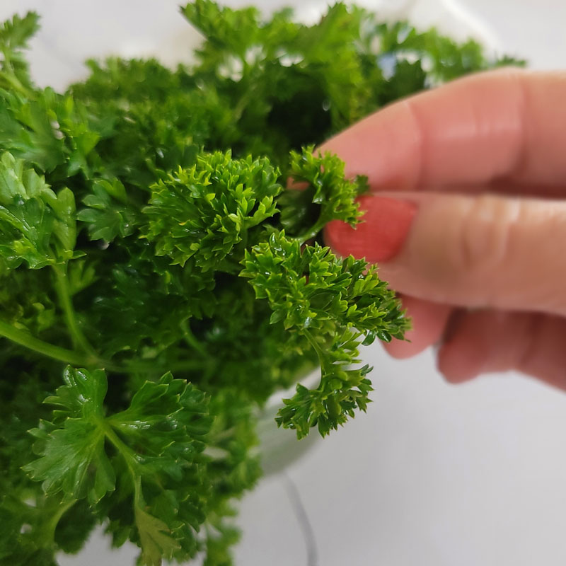 how to keep parsley crisp