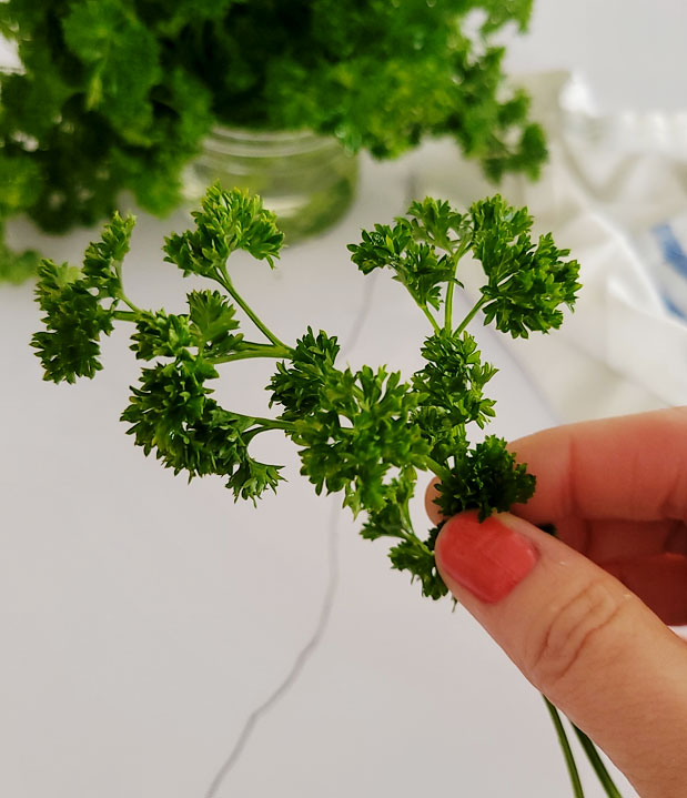 How To Store Fresh Parsley In The Fridge