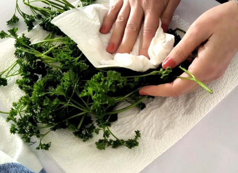 Gently pat the parsley dry