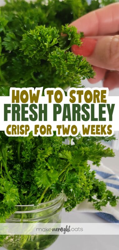 how to store fresh parsley