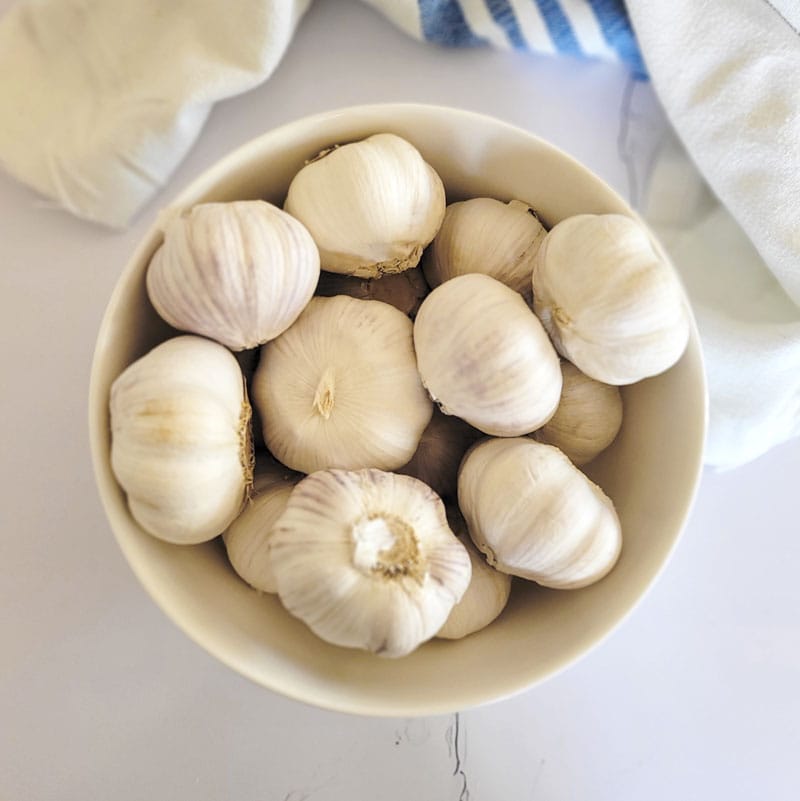 how to dehydrate garlic