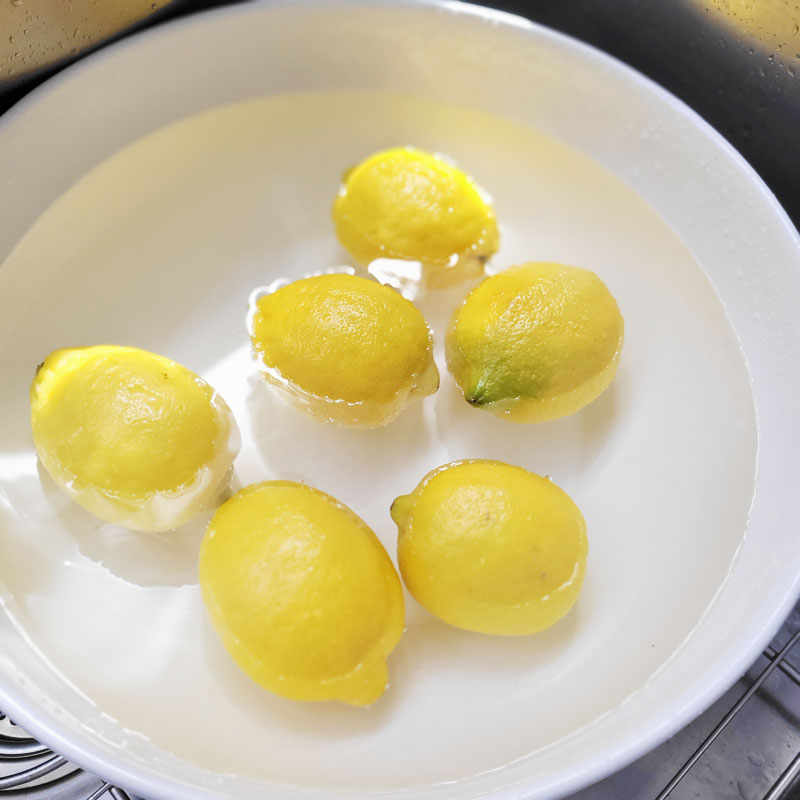 How To Make Dehydrated Lemons
