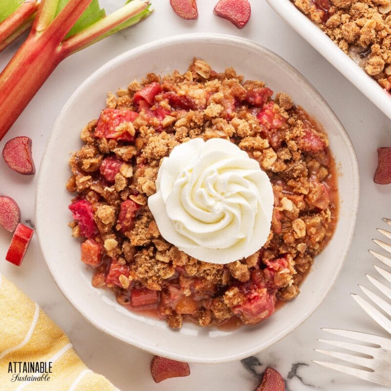 Old Fashioned Rhubarb Crisp