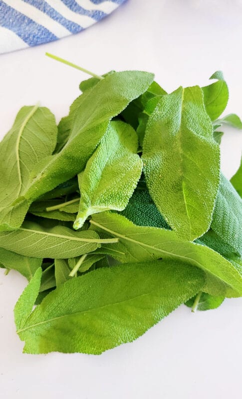 brown butter sage sauce recipe