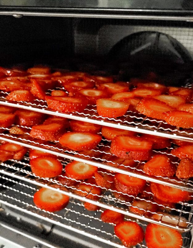 Dry the strawberry slices at 125F